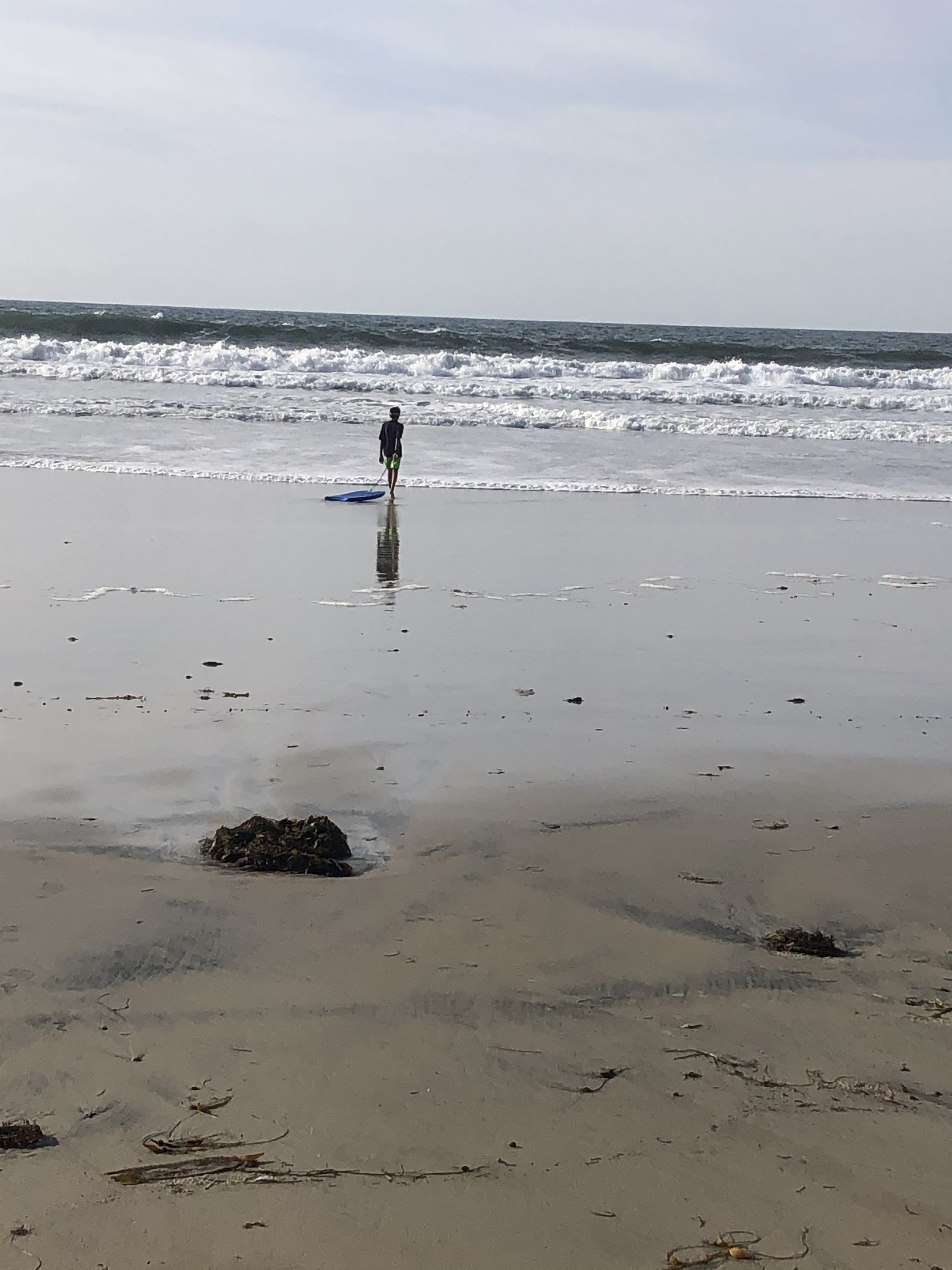 026C649F-8BF9-48EA-87D3-01F5B06A4673