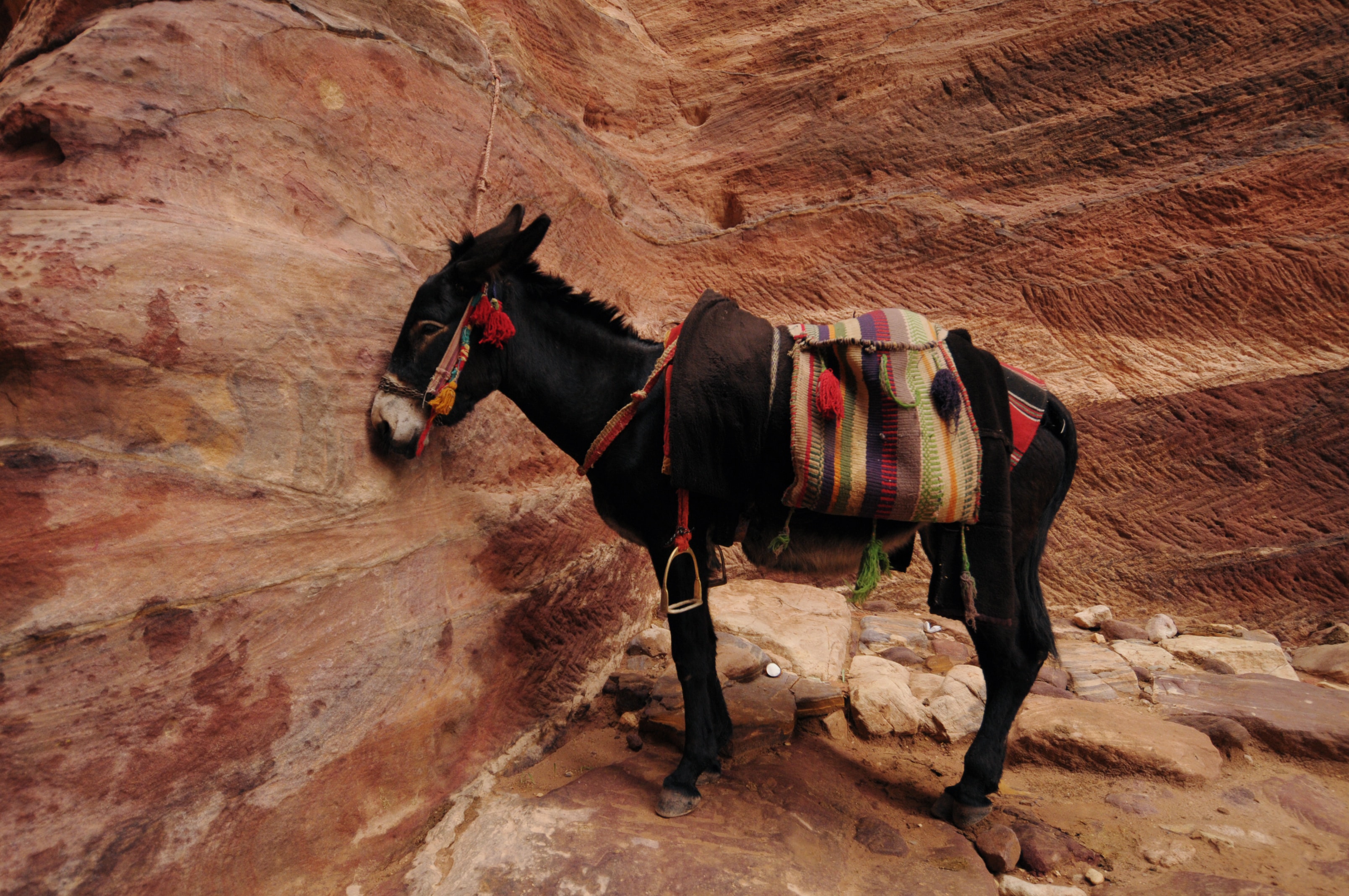 yuliya-kosolapova-4QM3BondmZg-unsplash