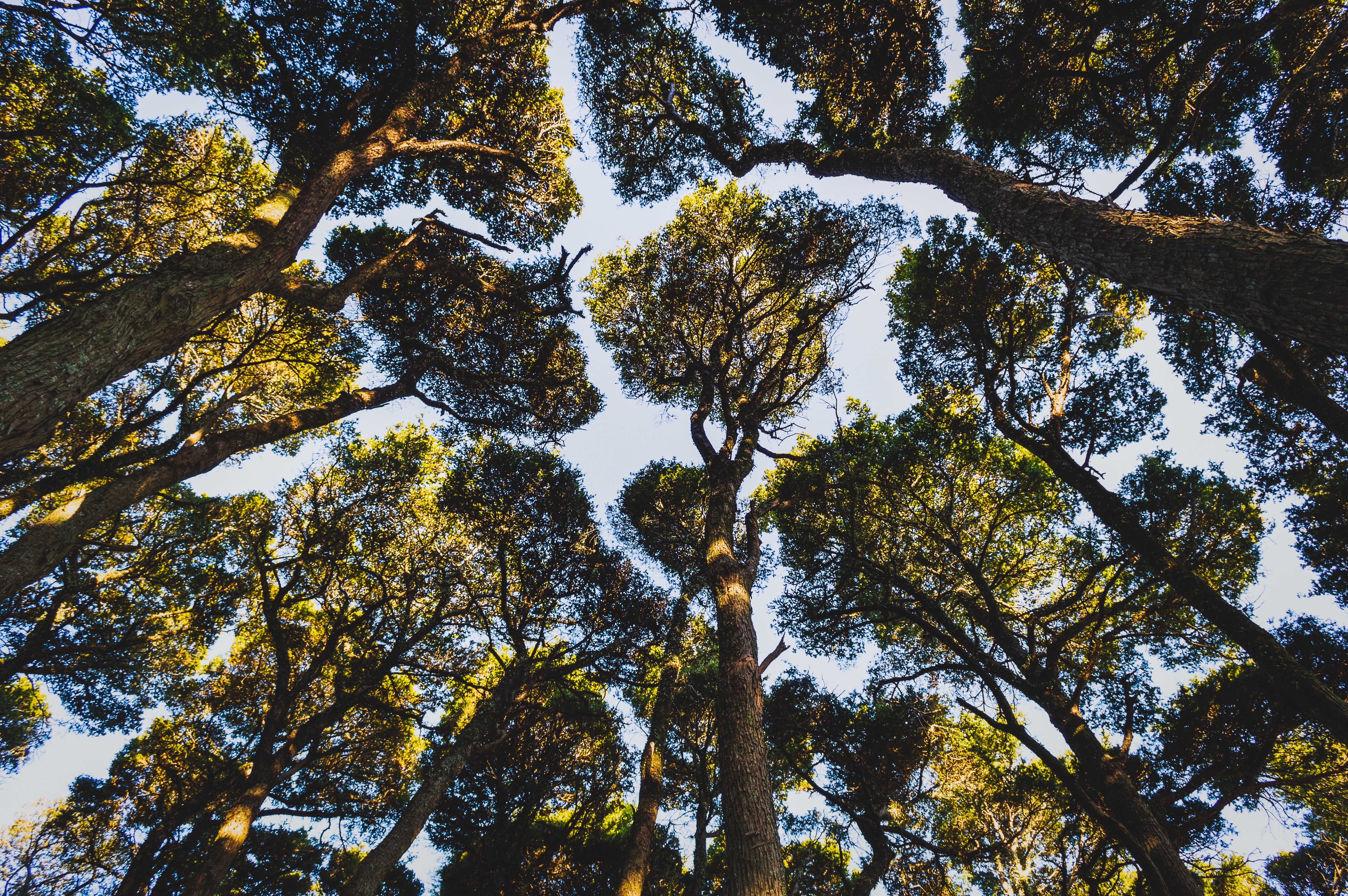 cmdr-shane-660498-unsplash